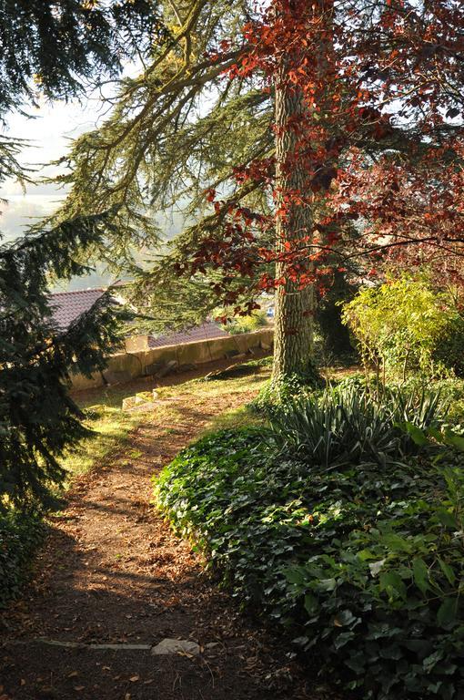 Bed and Breakfast Les Jardins De L'Hacienda Tarare Esterno foto